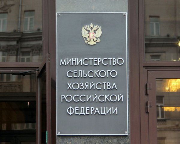 Россия и Беларусь договорились о запрете ввоза санкционных продуктов
