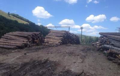 Рада отменила мораторий на экспорт дров