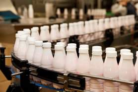 В Украине сократилось производство молока