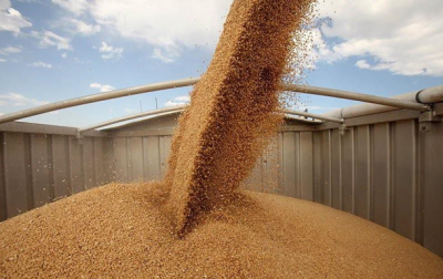 Украинские аграрии экспортировали 23 миллиона тонн зерновых